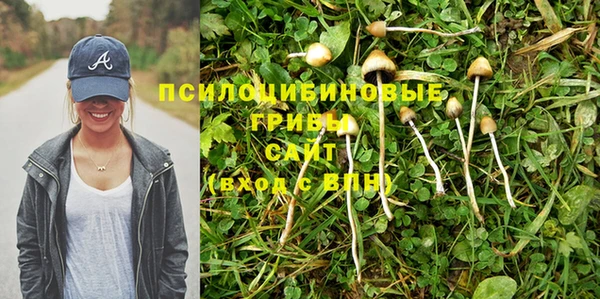 jwh Новодвинск