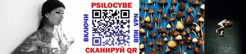 Галлюциногенные грибы Psilocybine cubensis  где продают   Аткарск 